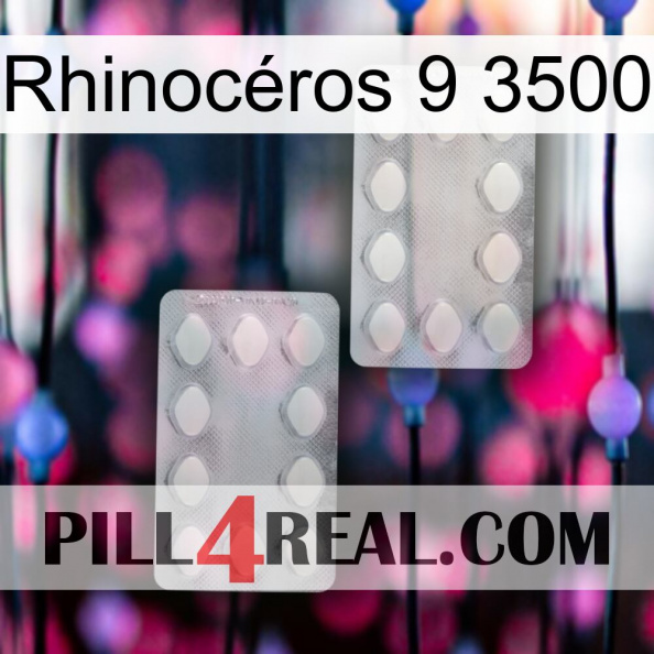 Rhinocéros 9 3500 17